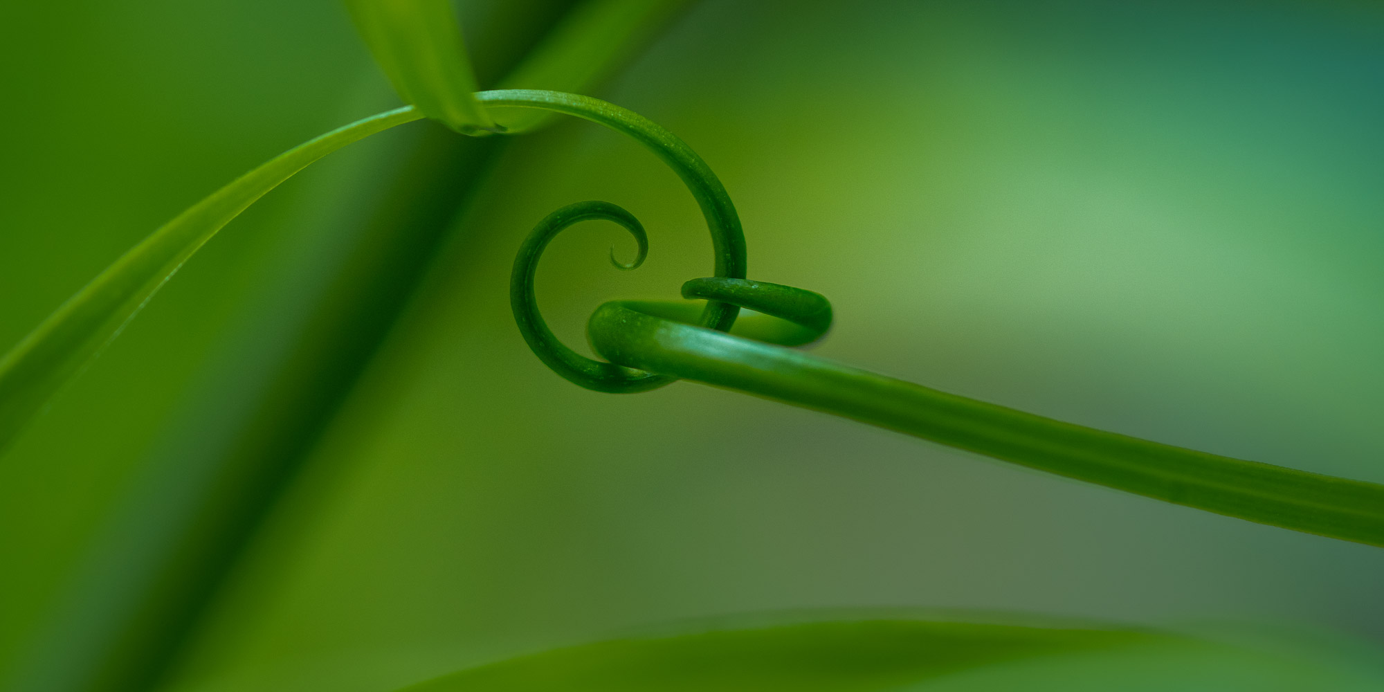 Access Datentransfer